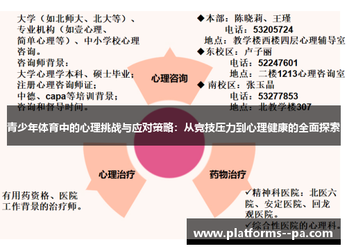 青少年体育中的心理挑战与应对策略:从竞技压力到心理健康的全面探索 青少年体育中的心理挑战与应对策略:从竞技压力到心理健康的全面探索